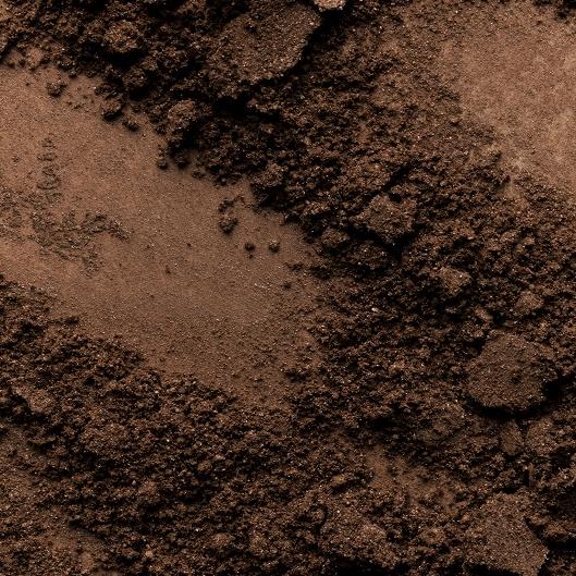 3 Haircuts for just $60 (Cash Only)